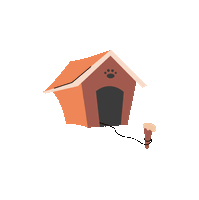 Project